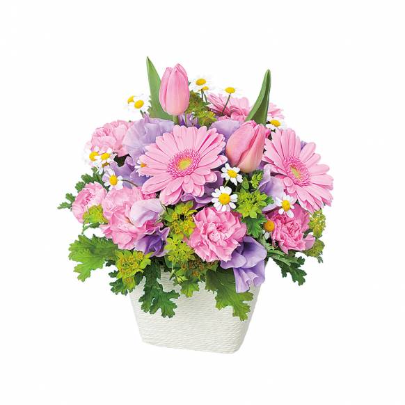 お祝いの花 埼玉県飯能市の花屋 花くめにフラワーギフトはお任せください 当店は 安心と信頼の花キューピット加盟店です 花キューピットタウン